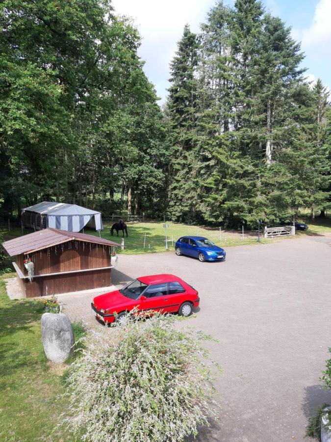 Pension Im Rehwinkel Soltau Exteriör bild